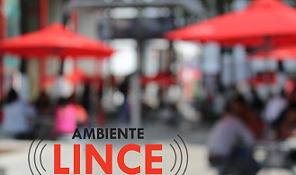 Imagen de Ambiente Lince
